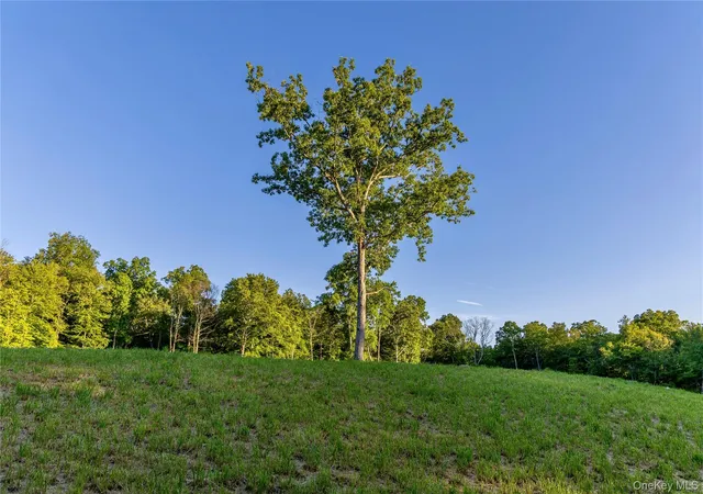 4th image of Mallory Rd, Union Vale, NY 12585 | MLS# 1016545