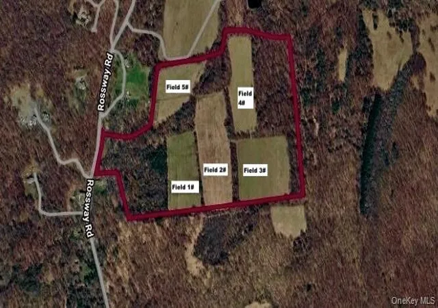17th image of 513 Rossway Rd, Pleasant Valley, NY 12569 | MLS# 1016583