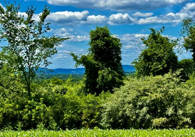 Photo 3 of Land for sale at 513 Rossway Rd, Pleasant Valley, NY 12569 | MLS# 1016583 | Listing updated on 2026-06-23
