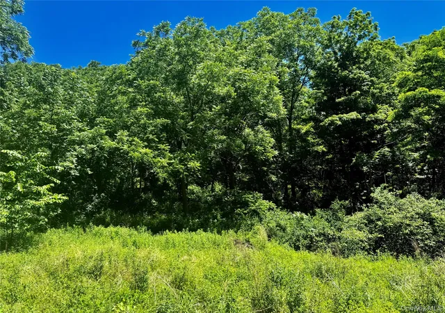 Photo 3 of Land for sale at 513 Rossway Rd, Pleasant Valley, NY 12569 | MLS# 1016583 | Listing updated on 2026-06-23