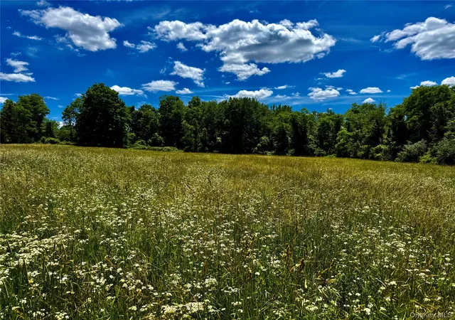 Photo 4 of Land for sale at 513 Rossway Rd, Pleasant Valley, NY 12569 | MLS# 1016583 | Listing updated on 2026-06-23