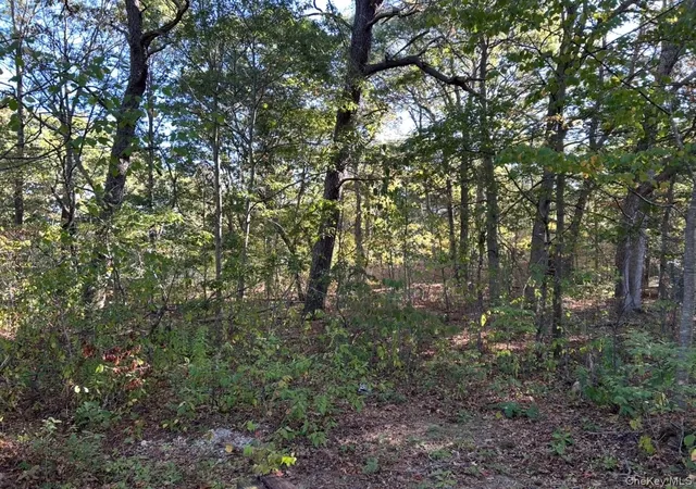 1st image of Meade Ave, Bellport, NY 11713 | MLS# 1016722