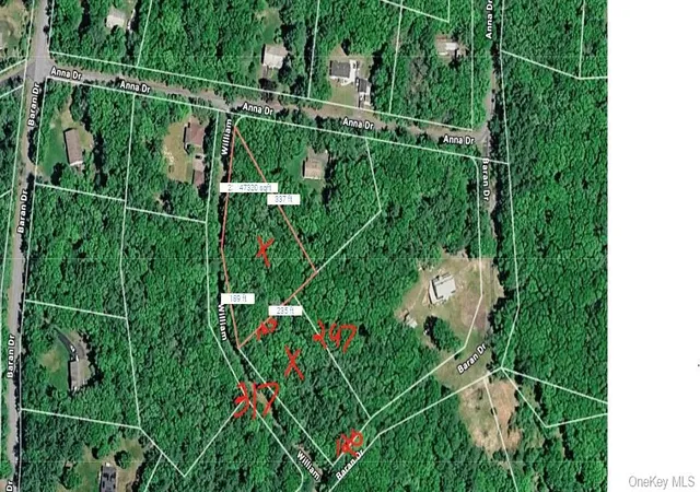 Homes for sale in Lumberland, NY | Lot 27 William St, Lumberland, NY 12737 | MLS# 1017142