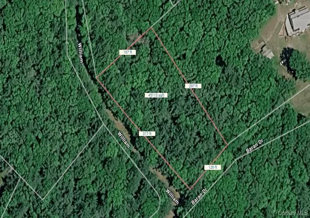 Homes for sale in Lumberland, NY | Lot 27 William St, Lumberland, NY 12737 | MLS# 1017142