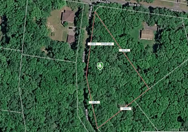 Homes for sale in Lumberland, NY | Lot 27 William St, Lumberland, NY 12737 | MLS# 1017142