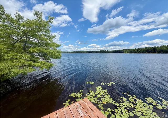 Homes for sale in Lumberland, NY | 90 Minisink Trl, Lumberland, NY 12737 | MLS# 1017653