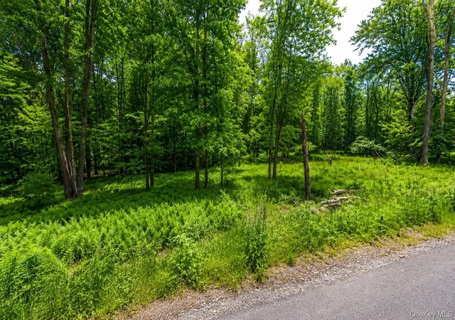 1st image of 135 Rose Valley, Monticello, NY 12701 | MLS# 1017756
