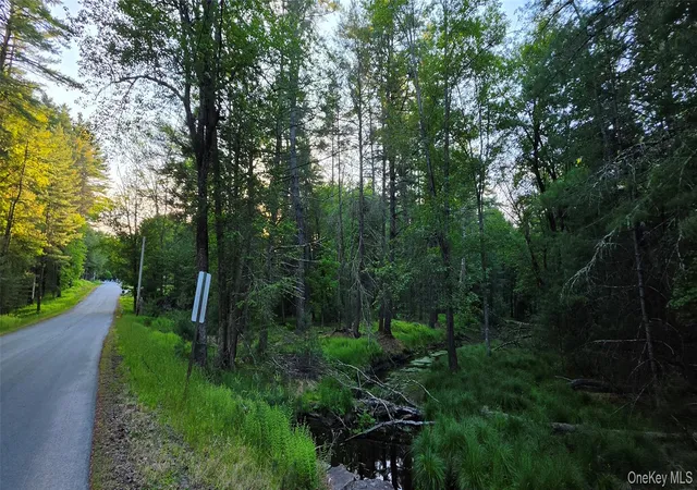 Homes for sale in Bethel, NY | Lot 33 Old Tacy Rd, Bethel, NY 12720 | MLS# 1017801