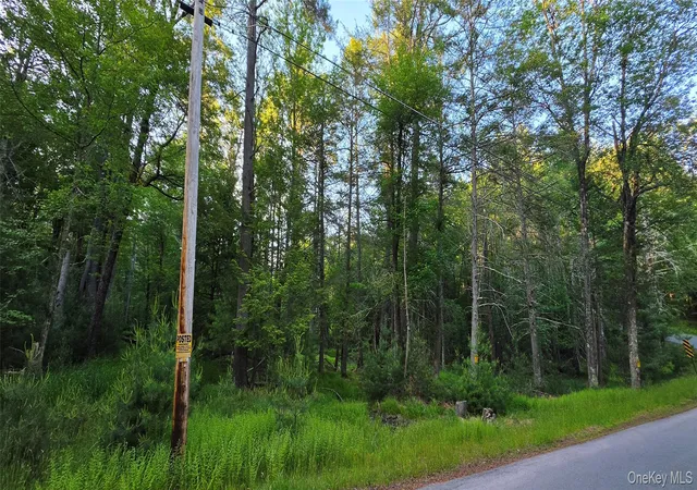 Homes for sale in Bethel, NY | Lot 33 Old Tacy Rd, Bethel, NY 12720 | MLS# 1017801