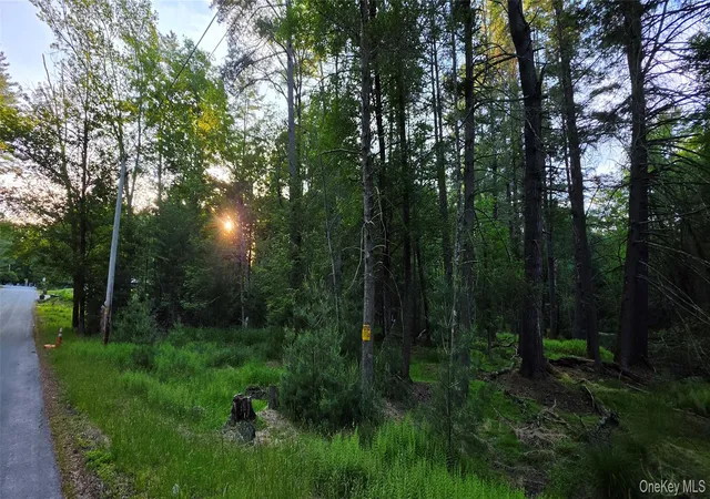 Homes for sale in Bethel, NY | Lot 33 Old Tacy Rd, Bethel, NY 12720 | MLS# 1017801