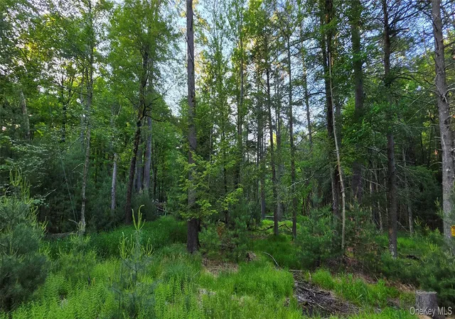 Homes for sale in Bethel, NY | Lot 33 Old Tacy Rd, Bethel, NY 12720 | MLS# 1017801