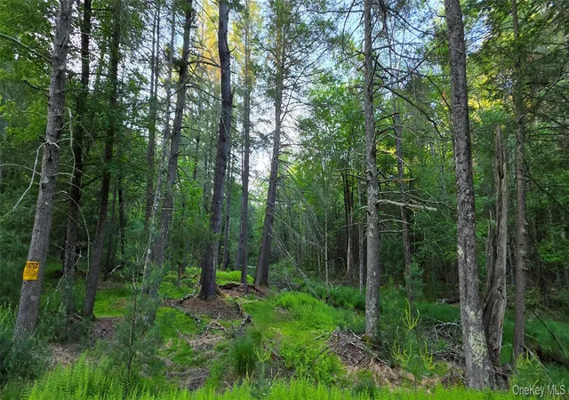 Homes for sale in Bethel, NY | Lot 33 Old Tacy Rd, Bethel, NY 12720 | MLS# 1017801