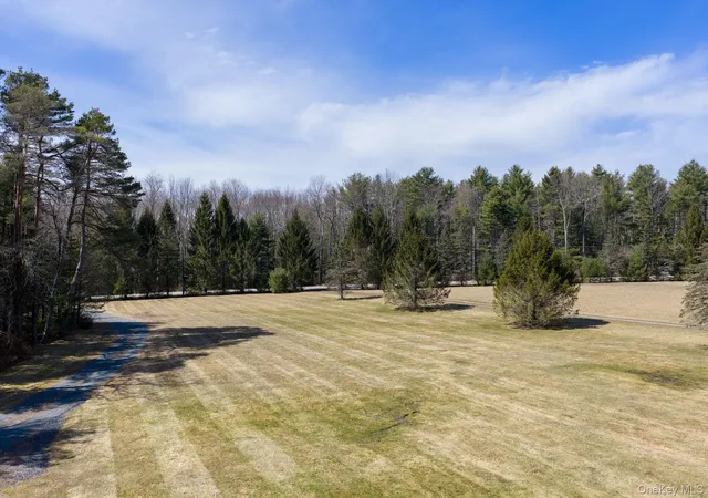 Homes for sale in Bethel, NY | 58 Deer Meadow Rd, Bethel, NY 12786 | MLS# 1017860