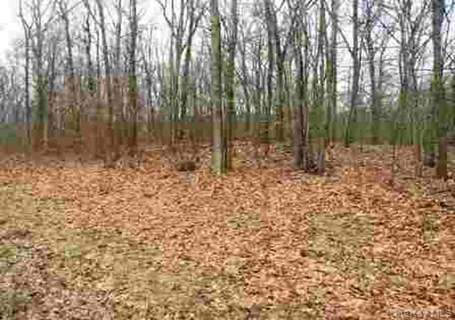 3rd image of 618 Bean River Rd, Millerton, NY 12546 | MLS# 1017861