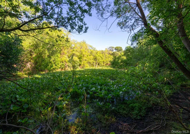 43rd image of 357 Smithtown Blvd, Smithtown, NY 11767 | MLS# 1017932