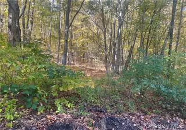 Homes for sale in North East, NY | 0 Budd Ln, North East, NY 12546 | MLS# 1018006