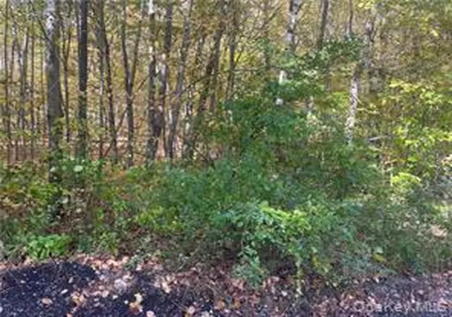 Homes for sale in North East, NY | 0 Budd Ln, North East, NY 12546 | MLS# 1018006