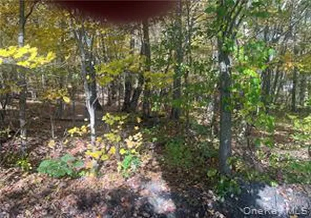Homes for sale in North East, NY | 0 Budd Ln, North East, NY 12546 | MLS# 1018006