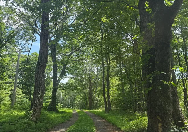 8th image of 124 Davis Rd, Rosendale, NY 12486 | MLS# 1018024