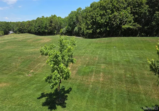 22nd image of 22 Cricket Ct, Shirley, NY 11967 | MLS# 1018240