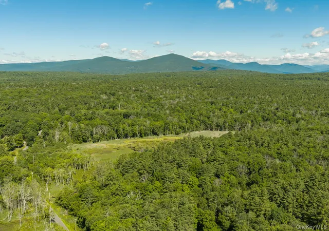 1st image of Tbd Buck Rd, Marbletown, NY 12484 | MLS# 1018256