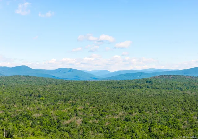 2nd image of Tbd Buck Rd, Marbletown, NY 12484 | MLS# 1018256