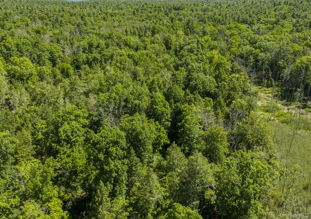 3rd image of Tbd Buck Rd, Marbletown, NY 12484 | MLS# 1018256