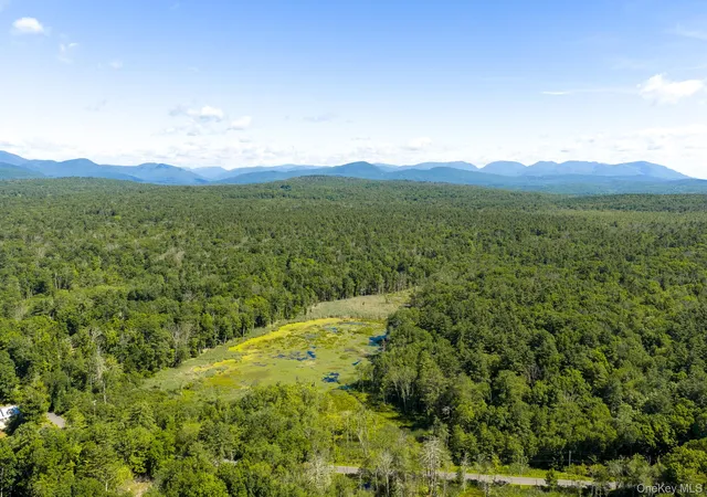 4th image of Tbd Buck Rd, Marbletown, NY 12484 | MLS# 1018256
