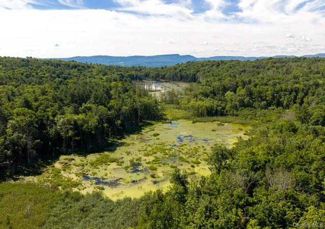 5th image of Tbd Buck Rd, Marbletown, NY 12484 | MLS# 1018256