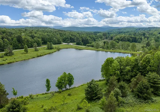 Homes for sale in Harpersfield, NY | 61 Fusco Dr, Harpersfield, NY 12093 | MLS# 1018416