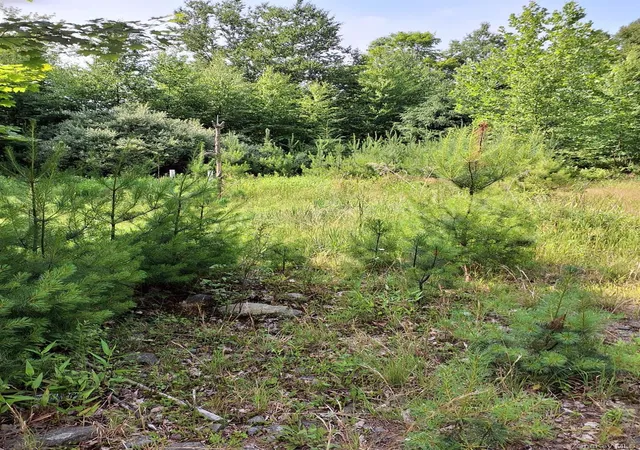 Homes for sale in Fallsburg, NY | 96 Hasbrouck Rd, Fallsburg, NY 12788 | MLS# 1018935