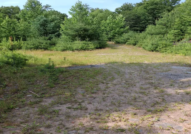 Homes for sale in Fallsburg, NY | 96 Hasbrouck Rd, Fallsburg, NY 12788 | MLS# 1018935