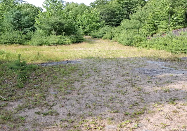 Homes for sale in Fallsburg, NY | 96 Hasbrouck Rd, Fallsburg, NY 12788 | MLS# 1018935