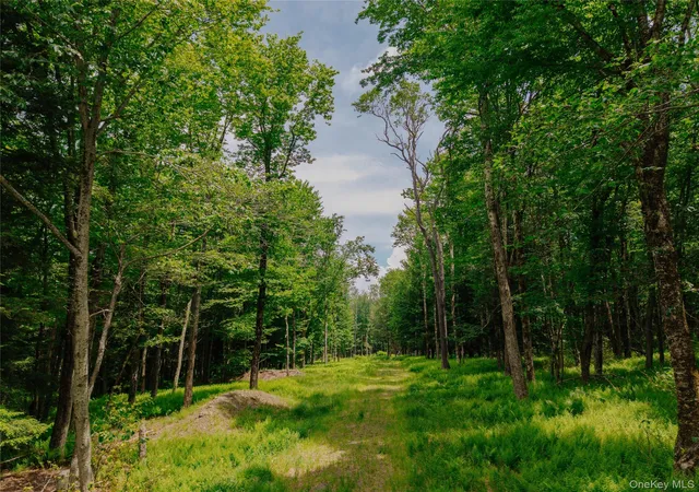 Homes for sale in Callicoon, NY | Tbd Church Lake Rd, Callicoon, NY 12758 | MLS# 1019122