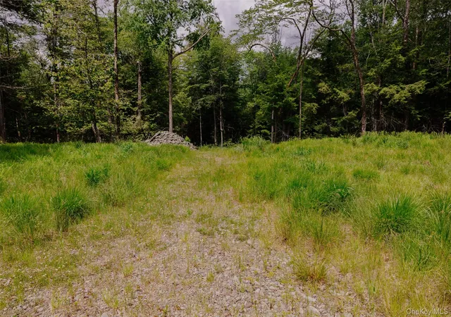 Homes for sale in Callicoon, NY | Tbd Church Lake Rd, Callicoon, NY 12758 | MLS# 1019122