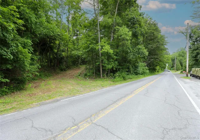 Homes for sale in Catskill, NY | Tbd Old Kings Rd, Catskill, NY 12414 | MLS# 1019617