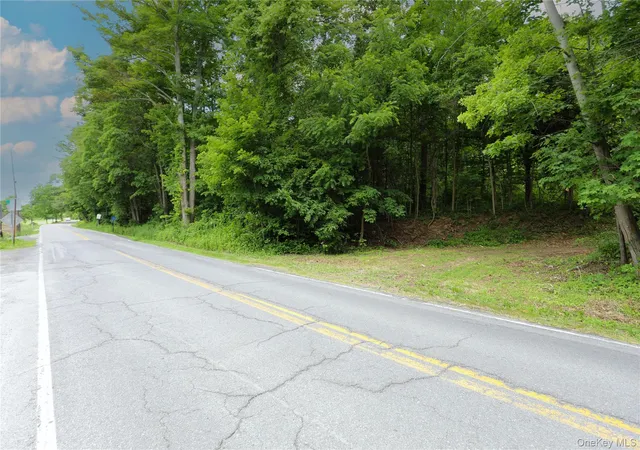 Homes for sale in Catskill, NY | Tbd Old Kings Rd, Catskill, NY 12414 | MLS# 1019617