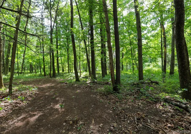 Homes for sale in Catskill, NY | Tbd Old Kings Rd, Catskill, NY 12414 | MLS# 1019617