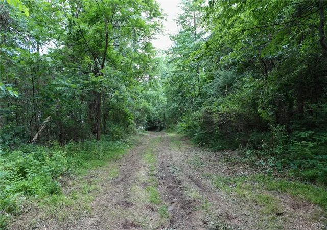 Homes for sale in Catskill, NY | Tbd Old Kings Rd, Catskill, NY 12414 | MLS# 1019617