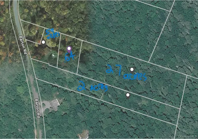 Homes for sale in Liberty, NY | 40 Barton Rd, Liberty, NY 12754 | MLS# 1019665
