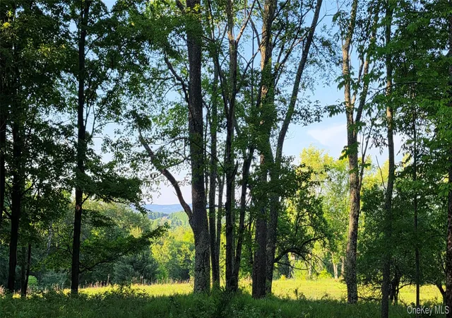 Homes for sale in Bethel, NY | Lot 135 W Shore Rd, Bethel, NY 12783 | MLS# 1019714