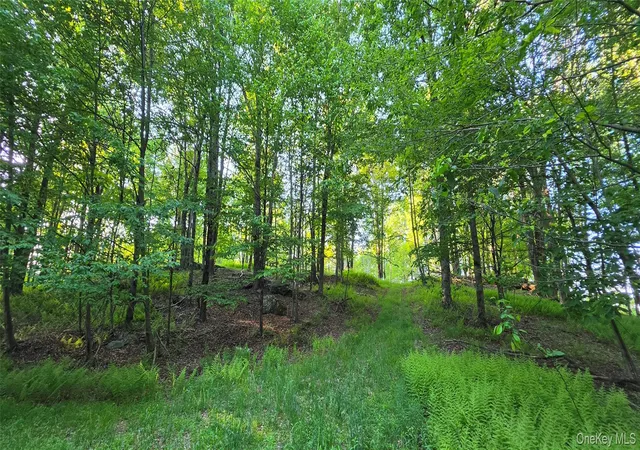 Homes for sale in Bethel, NY | Lot 135 W Shore Rd, Bethel, NY 12783 | MLS# 1019714