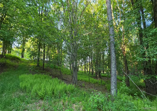 Homes for sale in Bethel, NY | Lot 135 W Shore Rd, Bethel, NY 12783 | MLS# 1019714