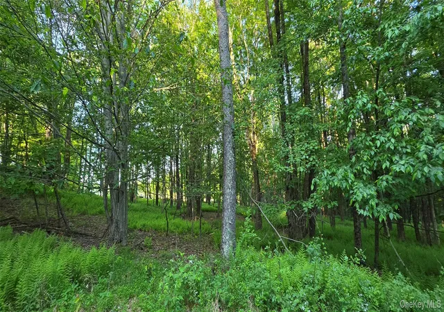 Homes for sale in Bethel, NY | Lot 135 W Shore Rd, Bethel, NY 12783 | MLS# 1019714