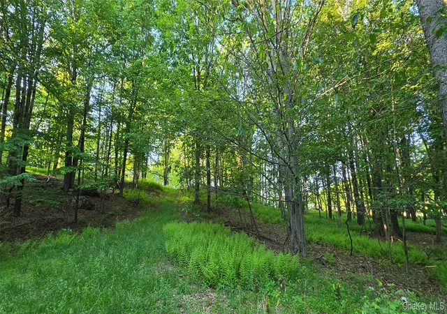 Homes for sale in Bethel, NY | Lot 135 W Shore Rd, Bethel, NY 12783 | MLS# 1019714