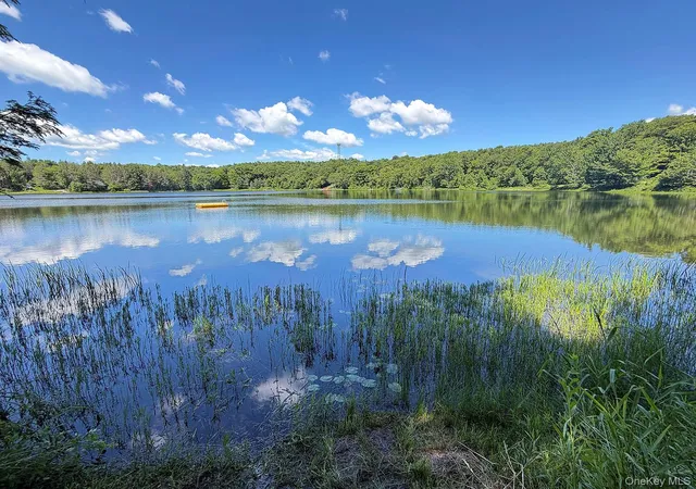 Homes for sale in Hancock, NY | 834 Delaware Lake Rd, Hancock, NY 13783 | MLS# 1019768