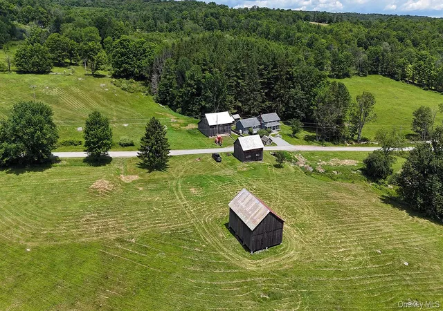 Homes for sale in Fremont, NY | 180 Henderson Rd, Fremont, NY 12741 | MLS# 1019802