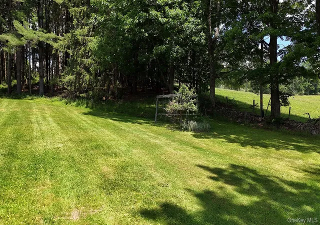 Homes for sale in Fremont, NY | 180 Henderson Rd, Fremont, NY 12741 | MLS# 1019802