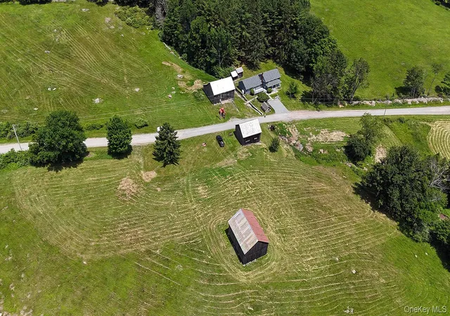 Homes for sale in Fremont, NY | 180 Henderson Rd, Fremont, NY 12741 | MLS# 1019802