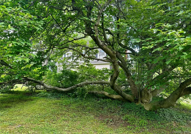 5th image of 237 Windsor Hwy, New Windsor, NY 12553 | MLS# 1019884